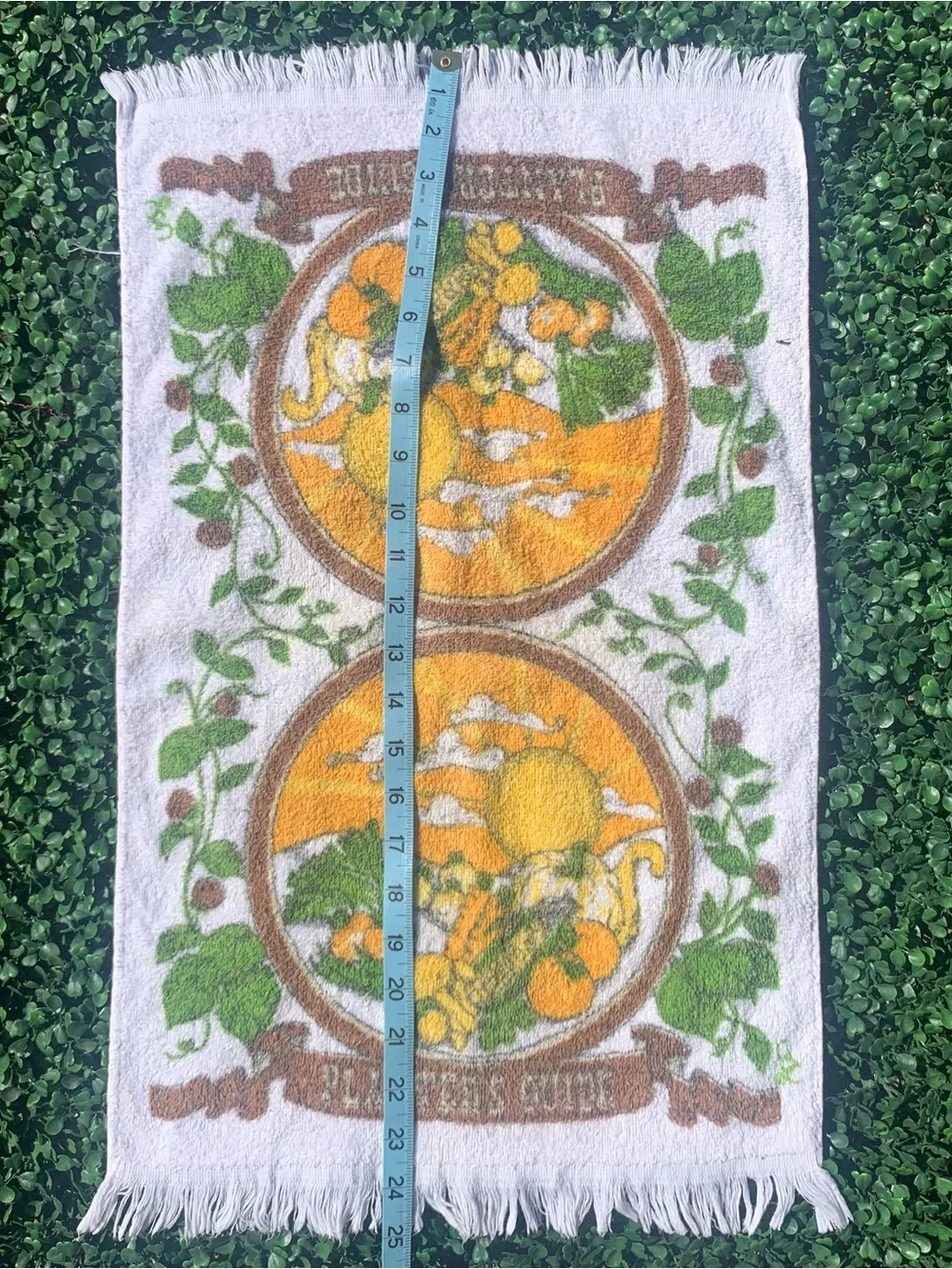 Vintage 70s Sayco Planter’s Guide Gardener Vegetable Patch & Sun Dish Towel